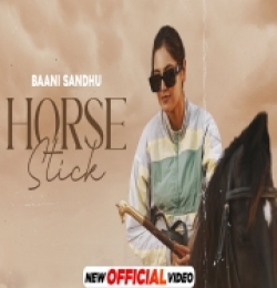 Horse Stick